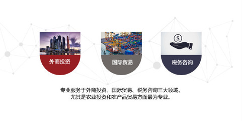 专业、高效、热情 俄罗斯律师的贸易咨询服务